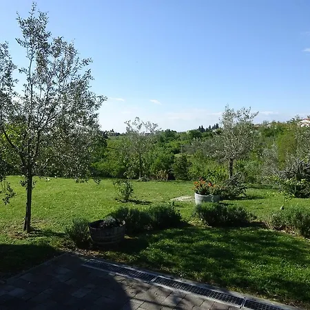 Green Olives Apartman *